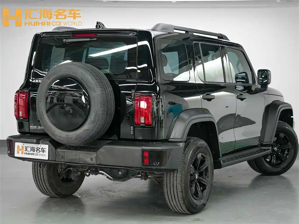 Tank 300 2024 Model 2.0T Challenger фото 6