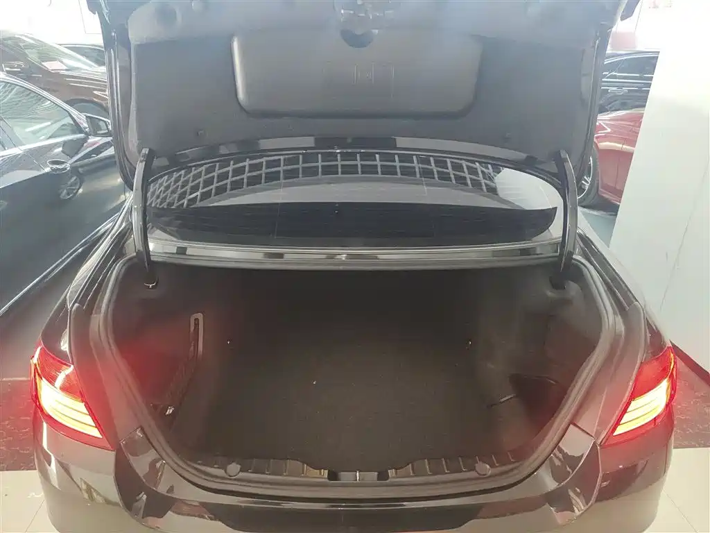 BMW 5 Series 2014 520Li Elegance фото 19