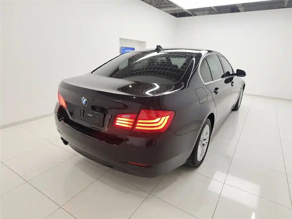 BMW 5 Series 2014 520Li Elegance фото 7
