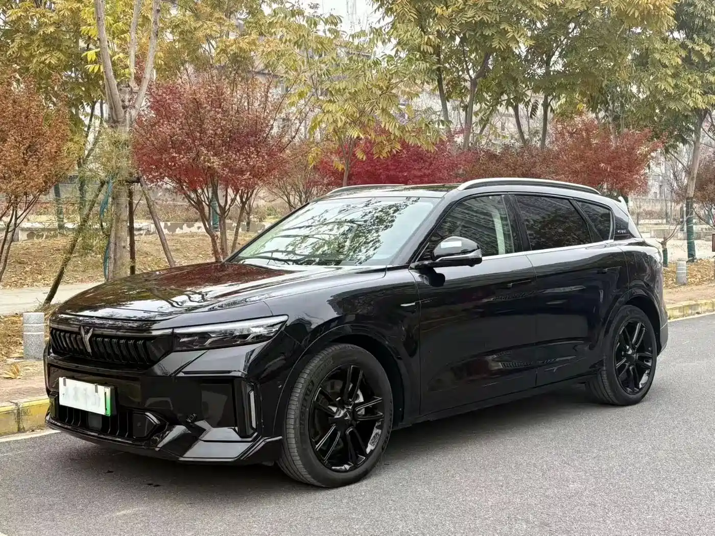 Voyah Auto VOYAH FREE 2024 Ultra Long Range Intelligent Driving Edition