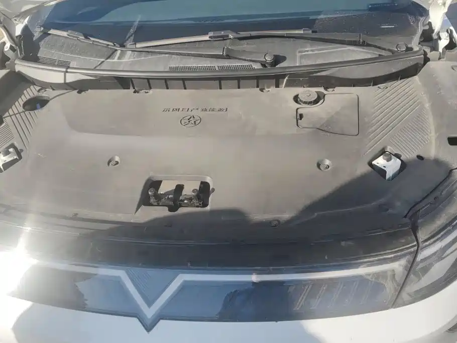 Venucia VX6 2024 2023 Model 520 Max