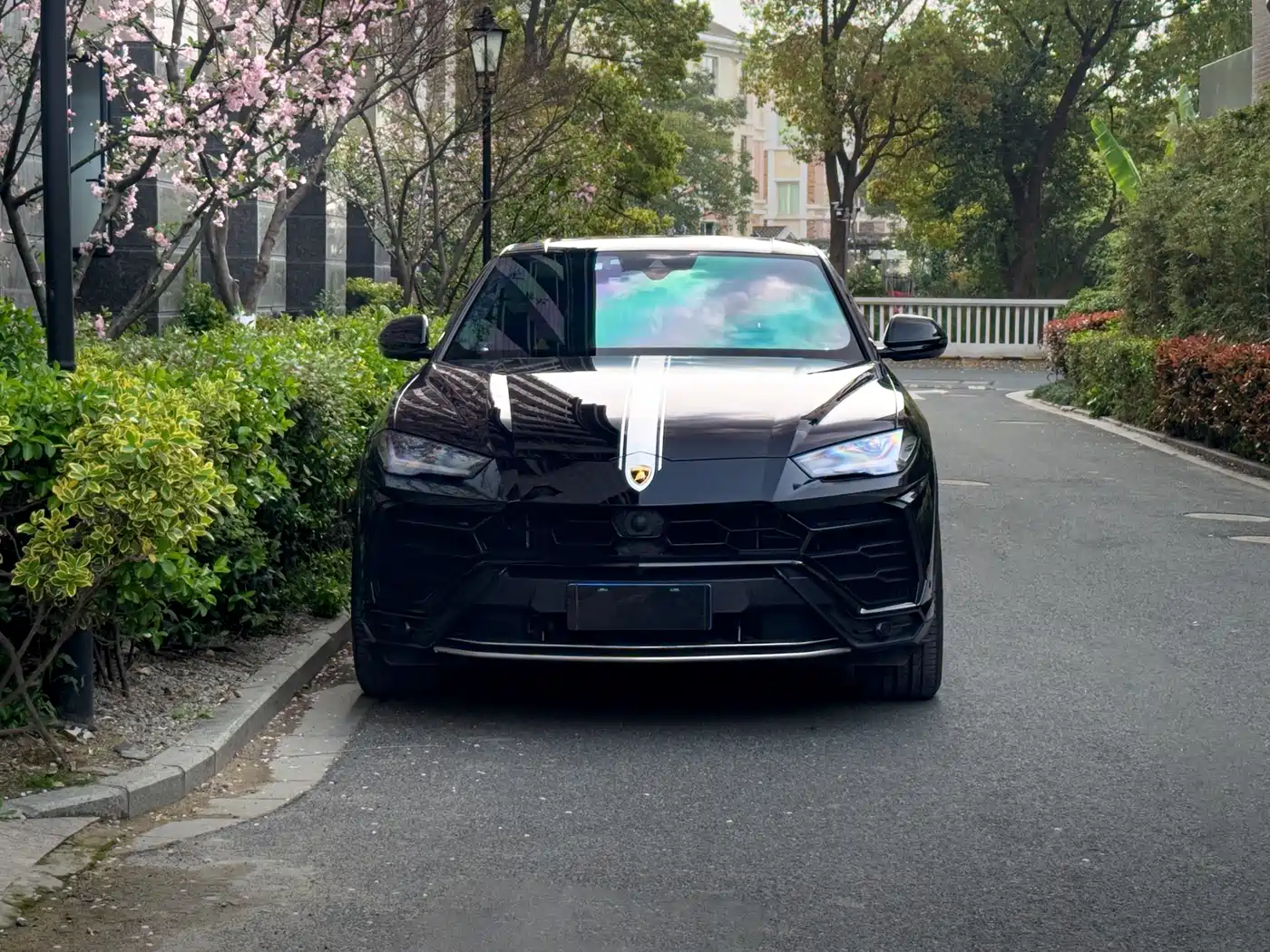 Lamborghini Urus 2019 2018 4.0T V8