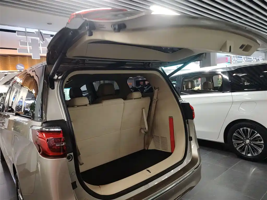 Buick GL8 2023 ES Landmaster Exclusive фото 15