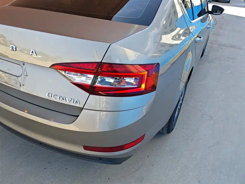 Škoda Octavia 2019 1.5L Automatic Smart Comfort China VI фото 8