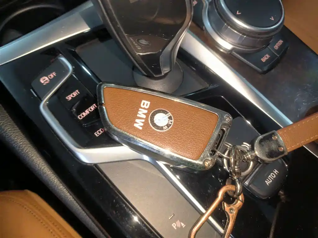 BMW 5 Series 2018 528Li Launch Special Edition фото 17