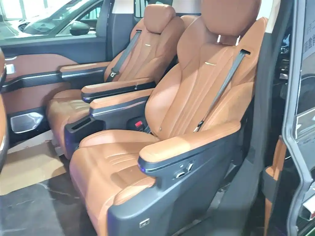 Hongqi HQ9 PHEV 2024 Model 2.0T AWD Business Edition фото 17