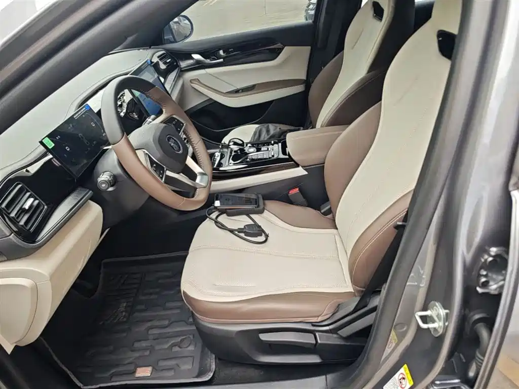 BYD Qin PLUS 2024 Glory Edition DM-i 55KM Leading фото 15