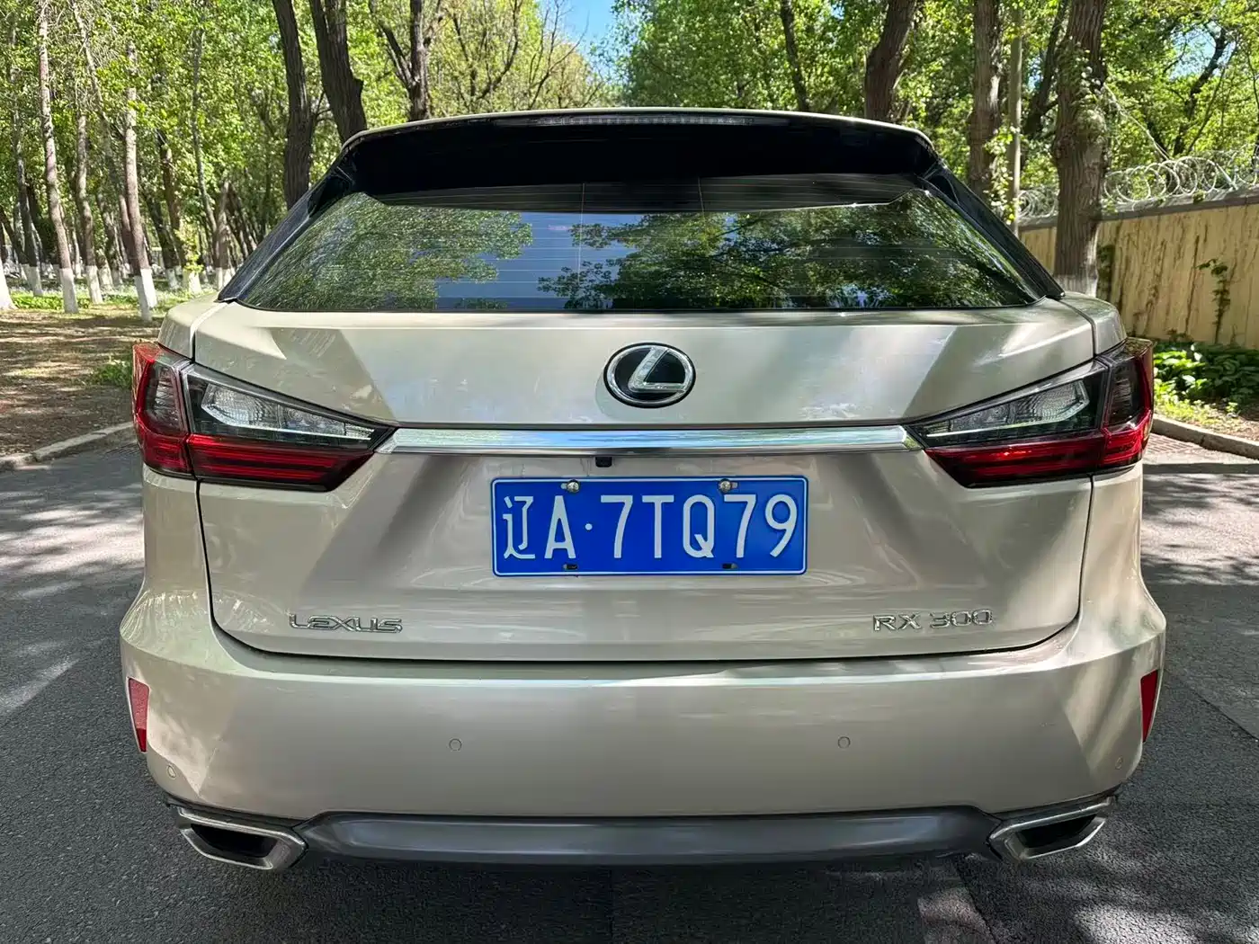 LEXUS RX