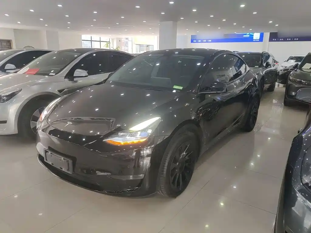 Tesla Model Y 2021 Standard Range Rear-Wheel Drive
