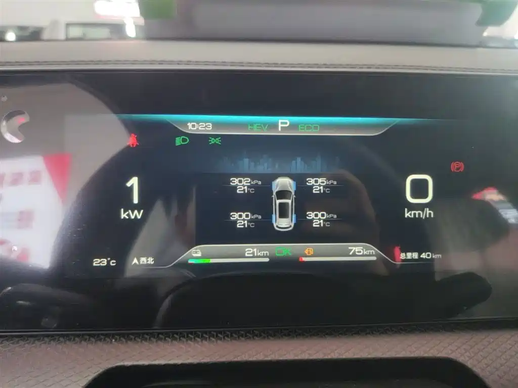BYD Song Pro New Energy 2026 DM-i 133KM Progressive фото 12