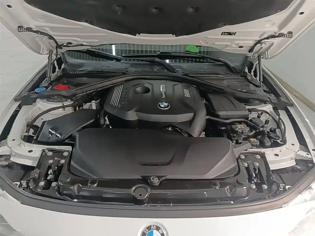 BMW 3 Series 2019 320Li Fashion Type фото 20
