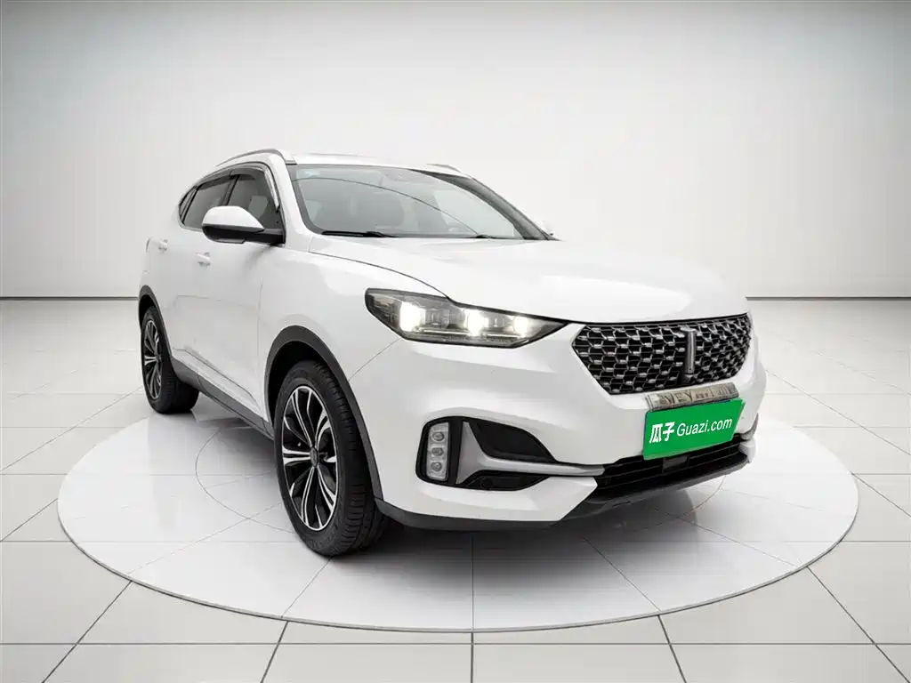 Фото 8 - WEY VV6