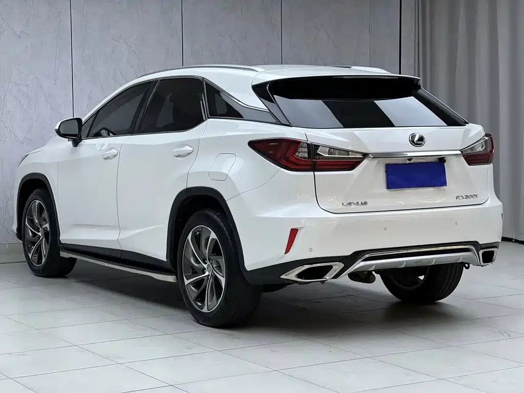 Фото 14 - Lexus RX