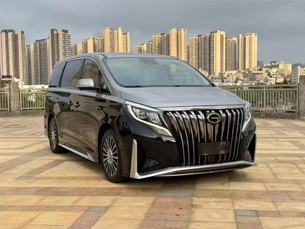 GAC Trumpchi Trumpchi M8 2021 Master Series 390T 4-Seat Premium Edition фото 9