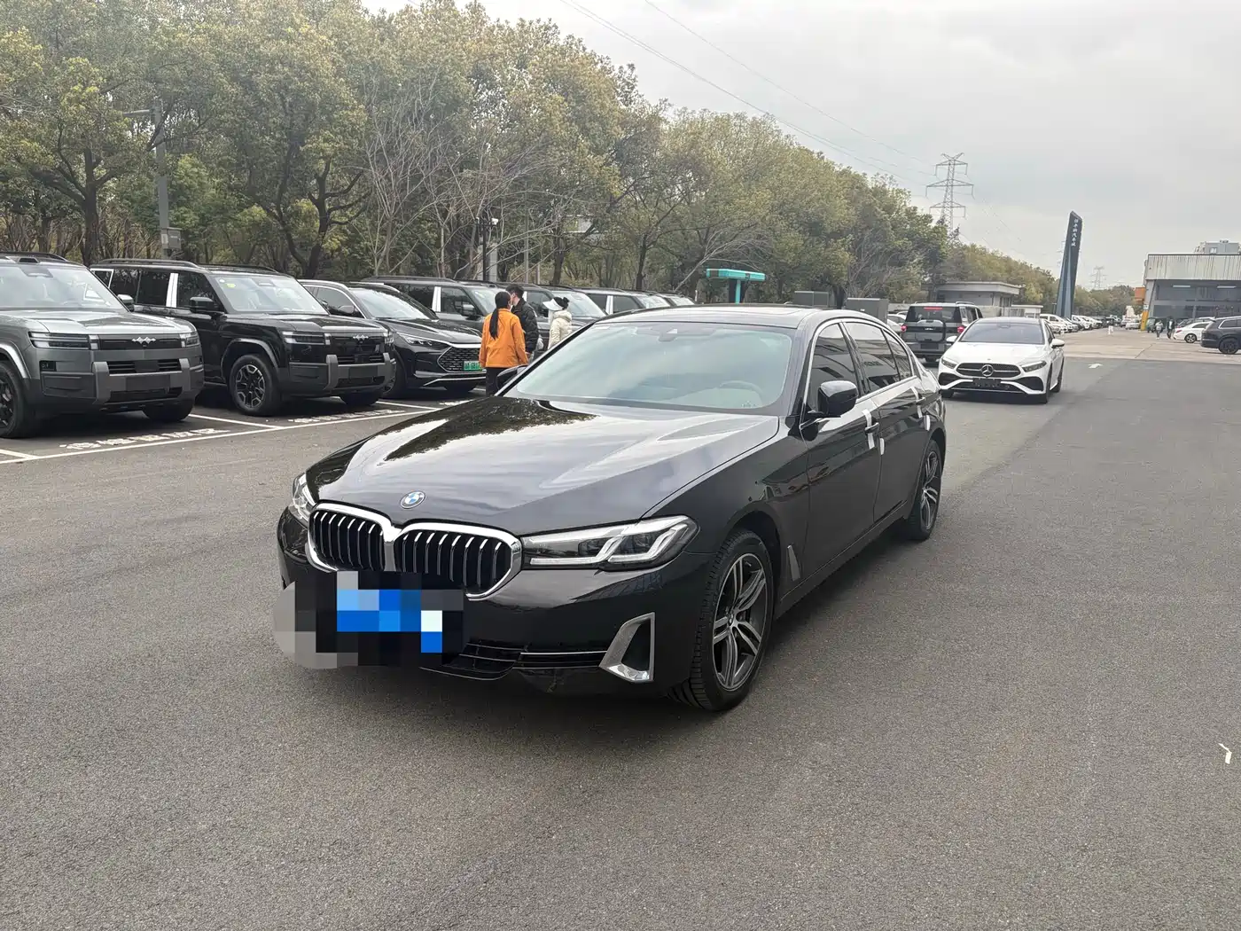 BMW 5 Series 2023 530Li Leading Luxury Package