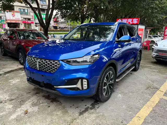 WEI PAI WEI BRAND VV6