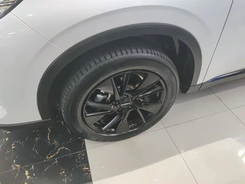 Haval H6 2024 2.0T 2WD Max фото 23
