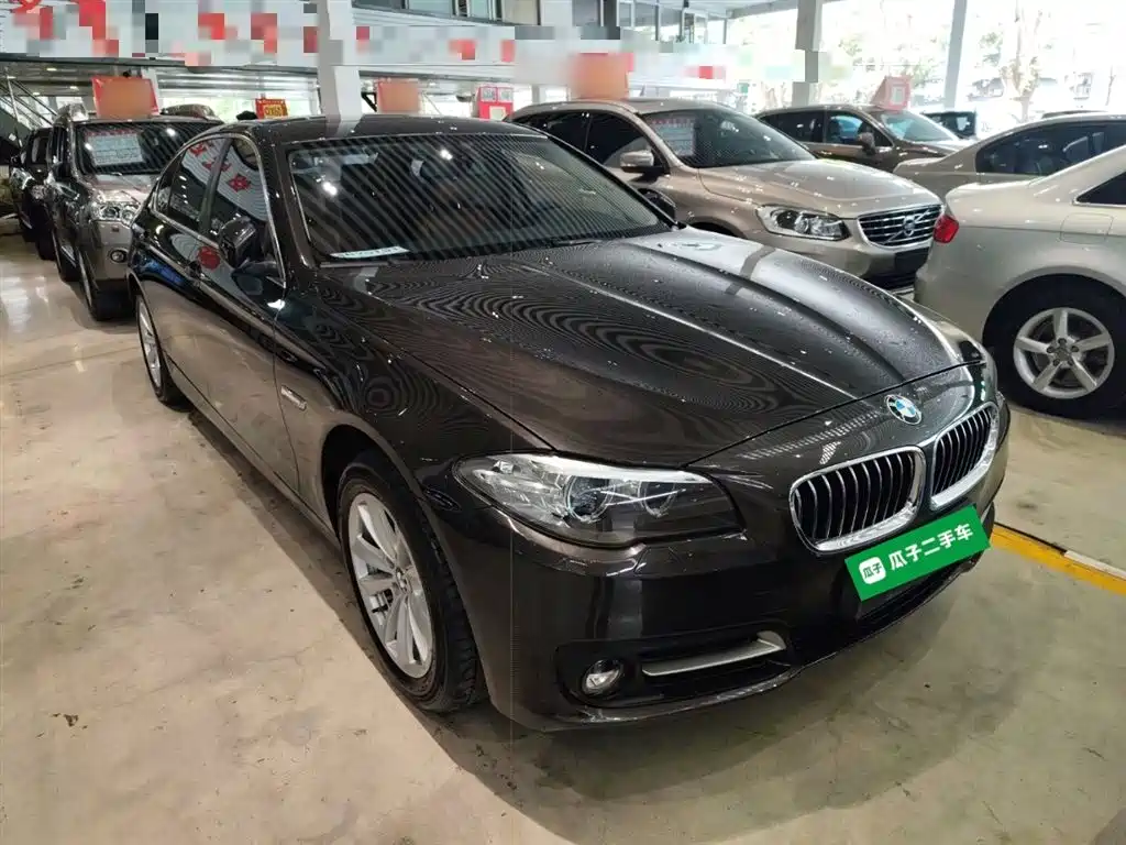BMW 5 Series 2014 520Li Elegance фото 20