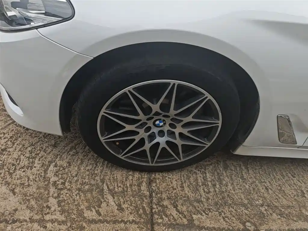 BMW 5 Series 2018 528Li Launch Special Edition фото 23