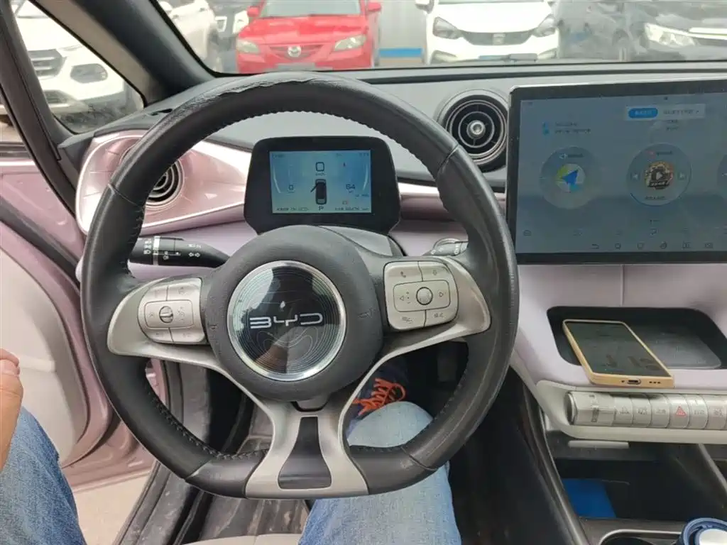 BYD Dolphin 2021 Model 405km Fashion Edition фото 10