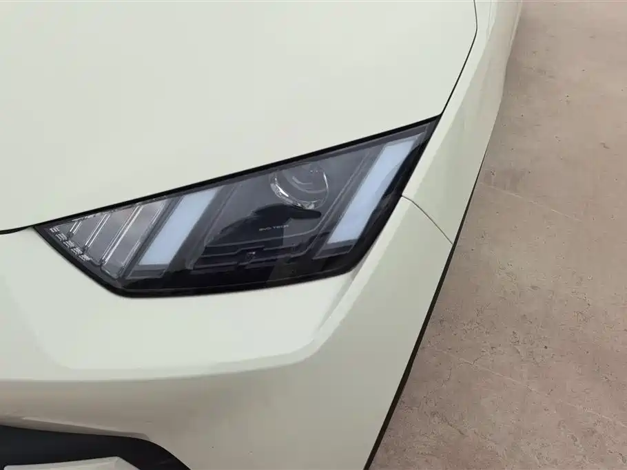 BYD Seagull 2025 Smart Drive Edition 305km Vitality Version фото 5