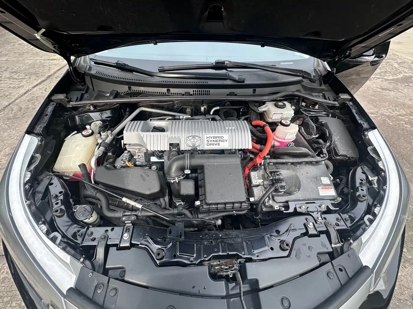 Toyota Levin 2017 Facelift Hybrid 1.8H GS E-CVT Elite Sunroof Edition China V фото 14