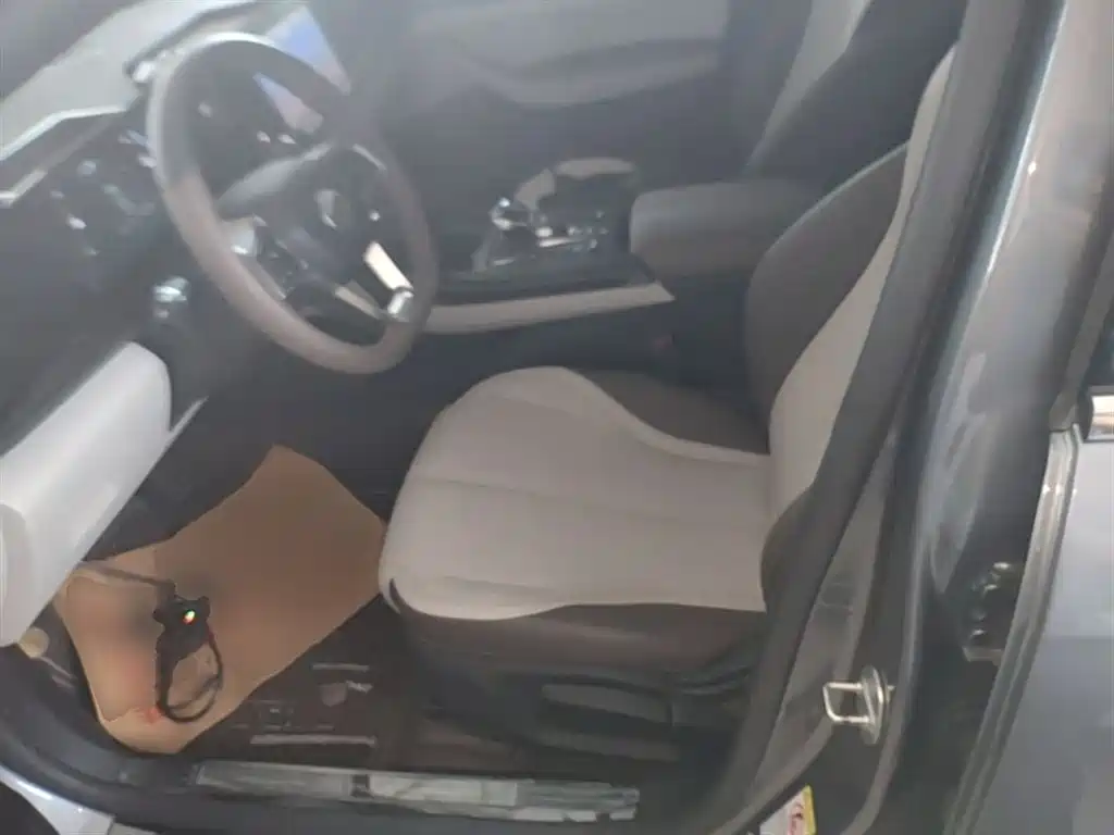 BYD Qin PLUS 2023 Champion Edition DM-i 55KM Leading фото 15