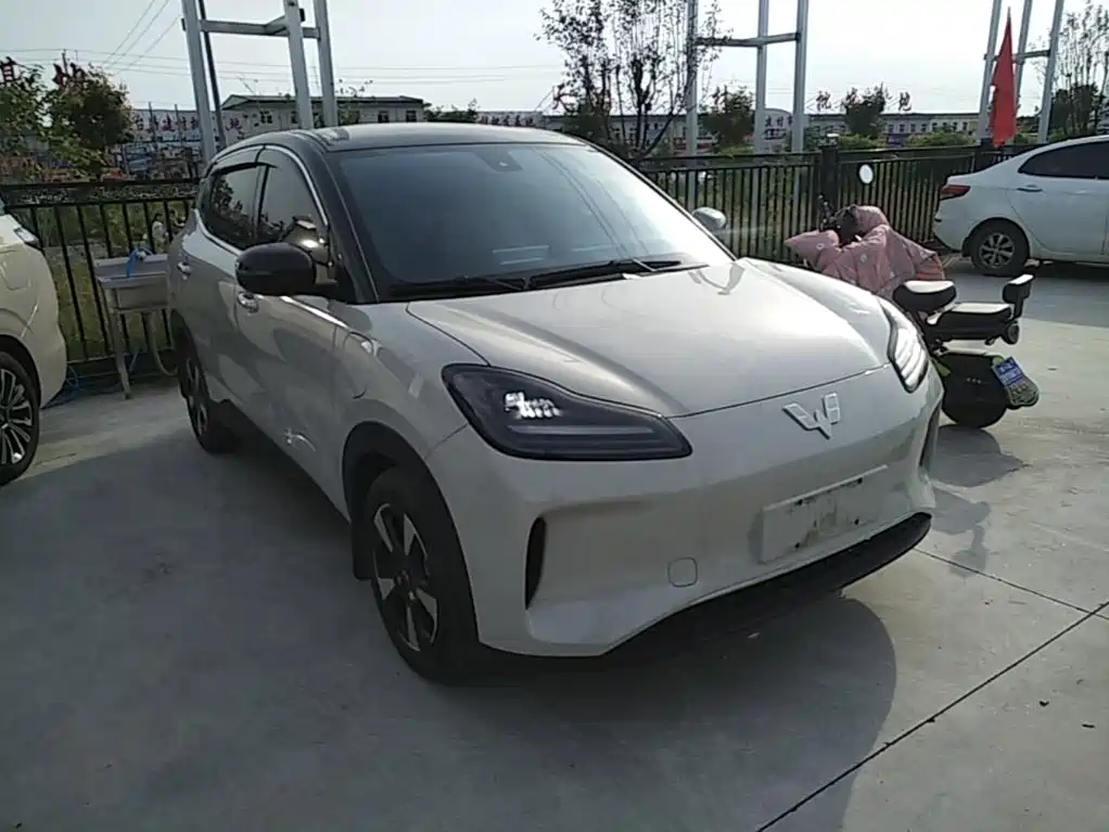 Wuling Motors Wuling Binguo PLUS 2025 2024 Model 330km 5-Seater