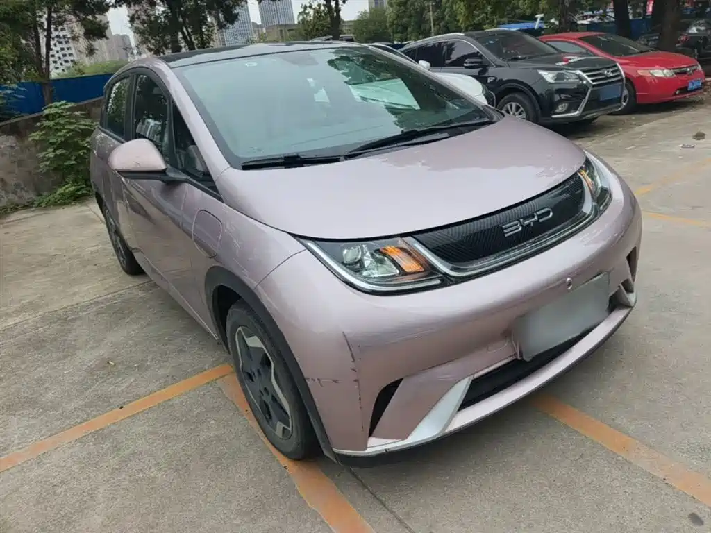 BYD Dolphin 2021 Model 405km Fashion Edition фото 4