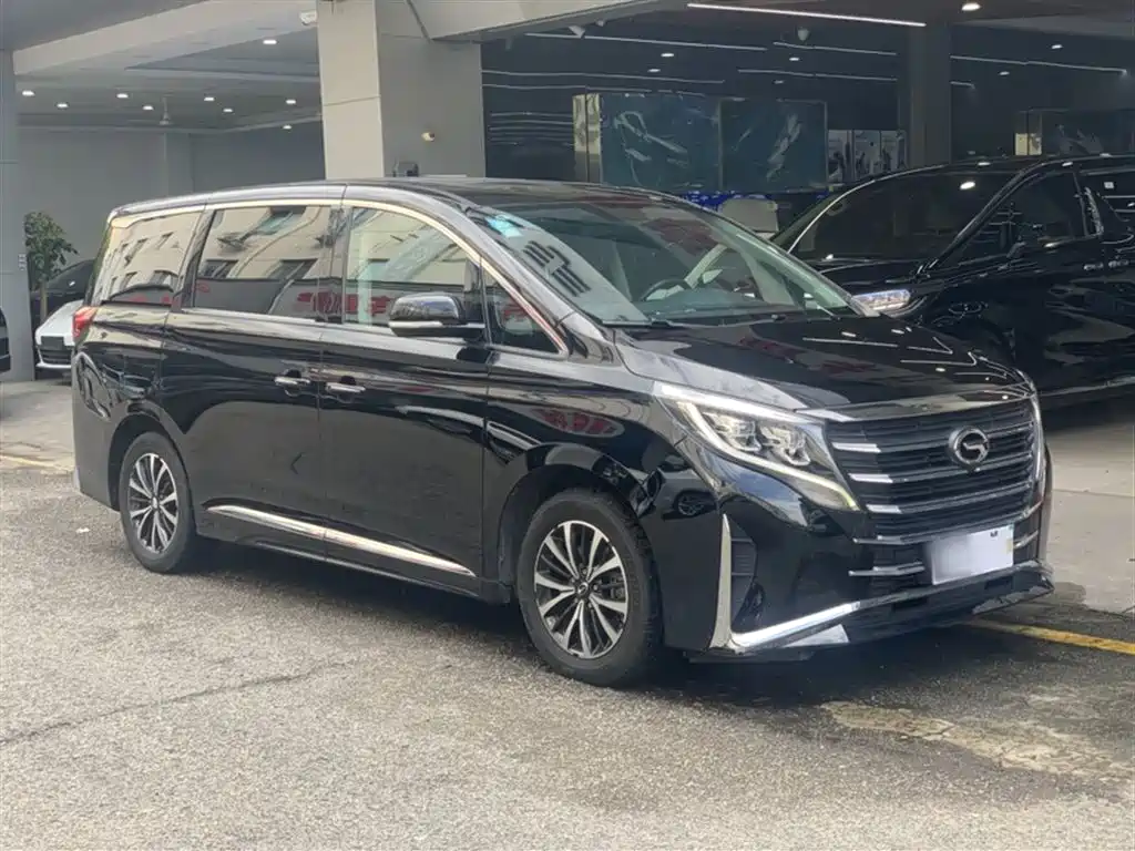 GAC Trumpchi Trumpchi M8 2023 Leading Series 390T Premium Edition фото 24