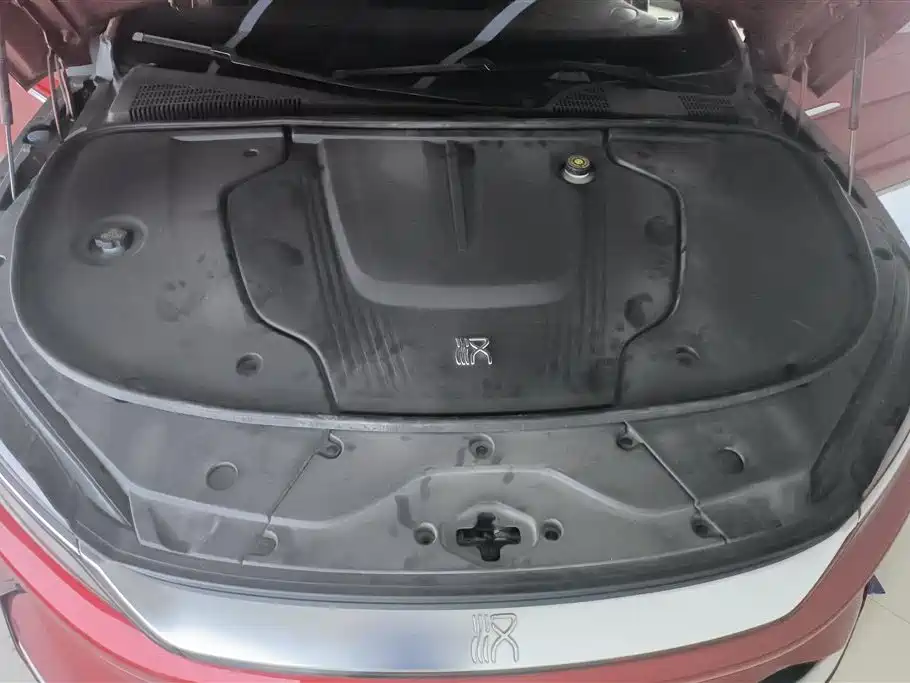 BYD Han 2020 EV Extended Range Premium фото 10