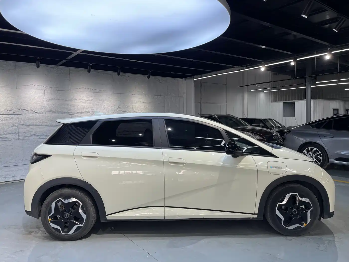 BYD Dolphin 2021 Model 405km Fashion Edition фото 4