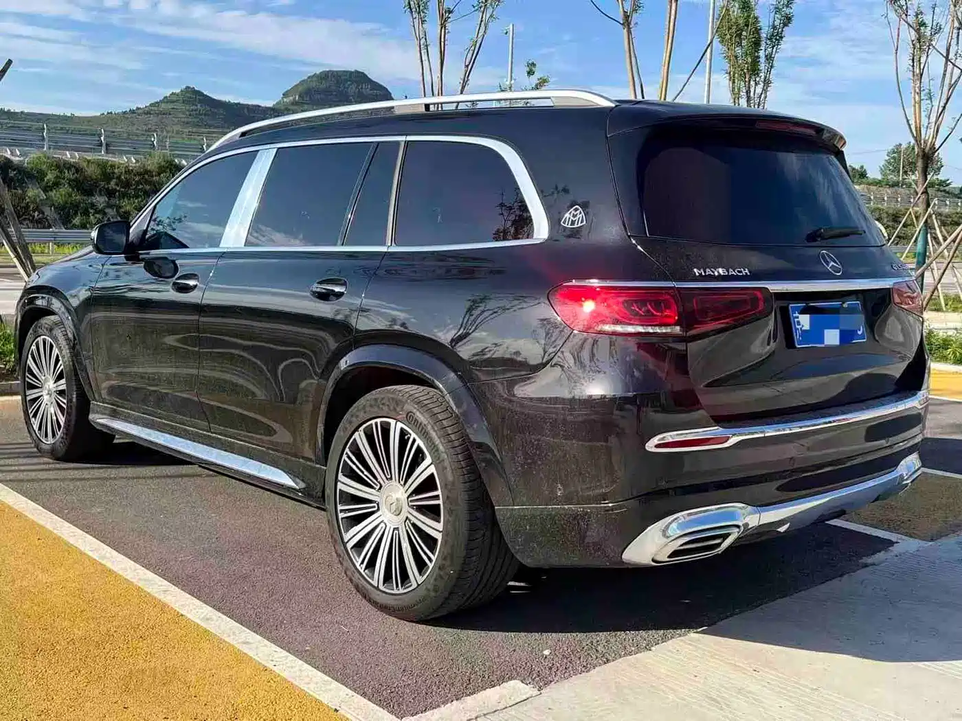 Mercedes-Benz Maybach GLS 2021 GLS 480 4MATIC фото 7