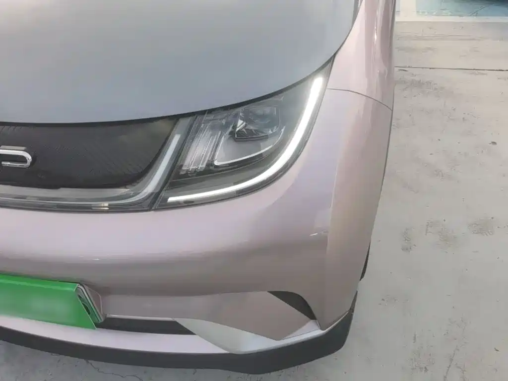 BYD Dolphin 2022 2021 401km Knight Edition