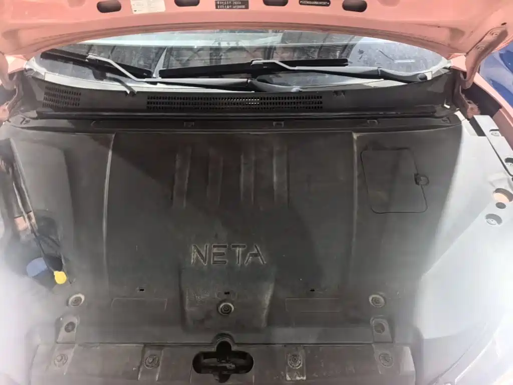 Nezha Auto Nezha V 2023 2022 Trend 400 Lite Pink Custom Edition