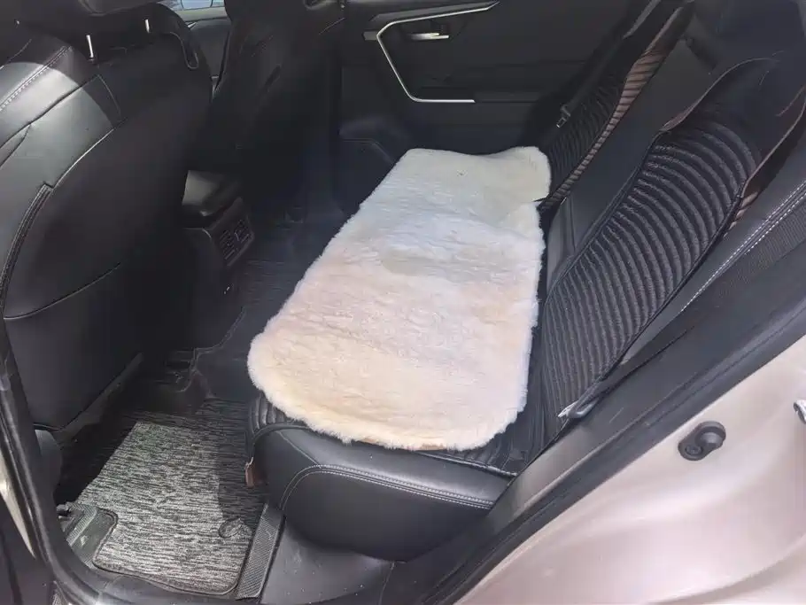 Toyota Wildlander 2021 2.0L CVT 4WD Luxury Edition фото 11