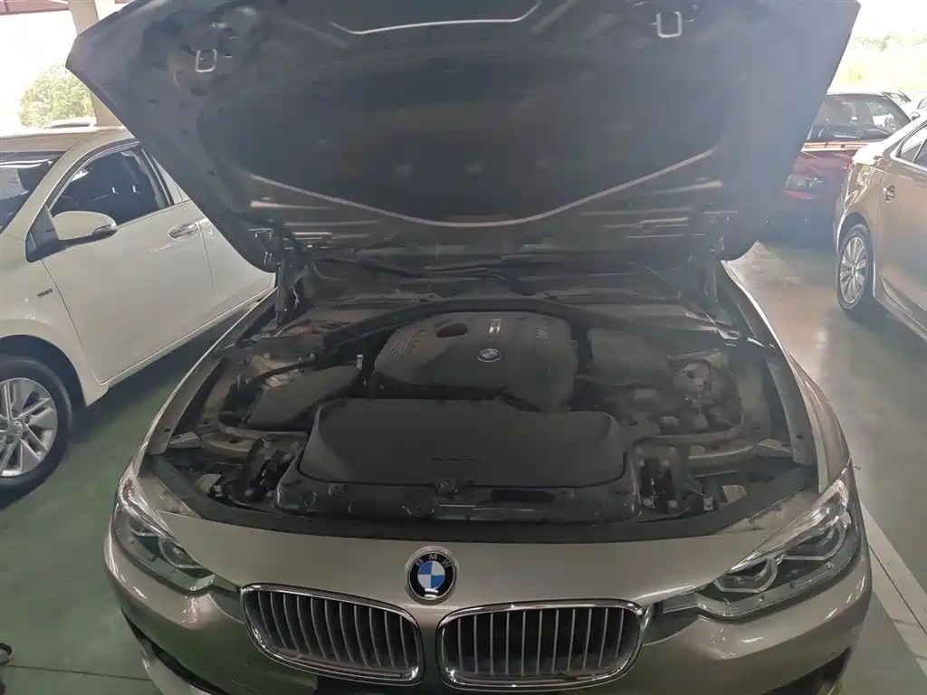 BMW 3 Series 2018 320Li Fashion Style фото 16
