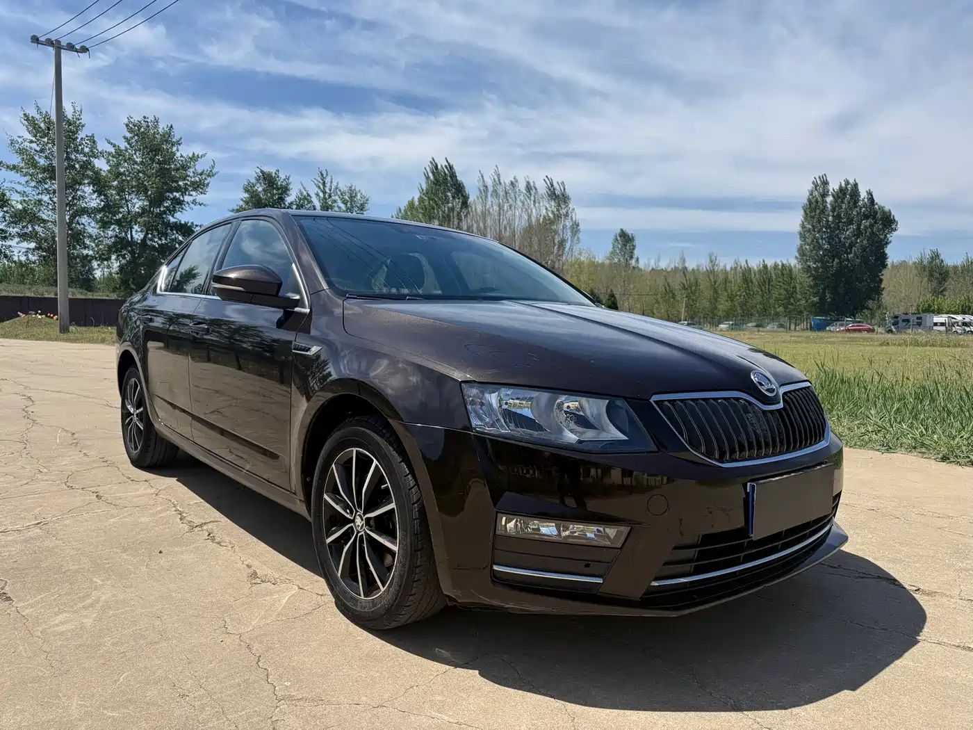 Škoda Octavia 2017 1.6L Automatic Smart Edition фото 3