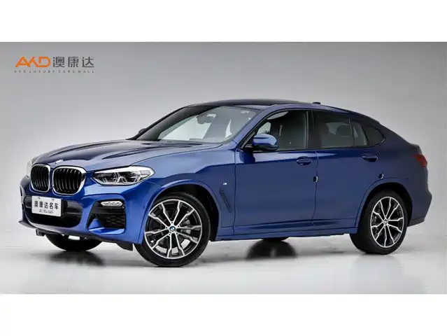  BMW BMW X4 2019 xDrive30i M Sport Package