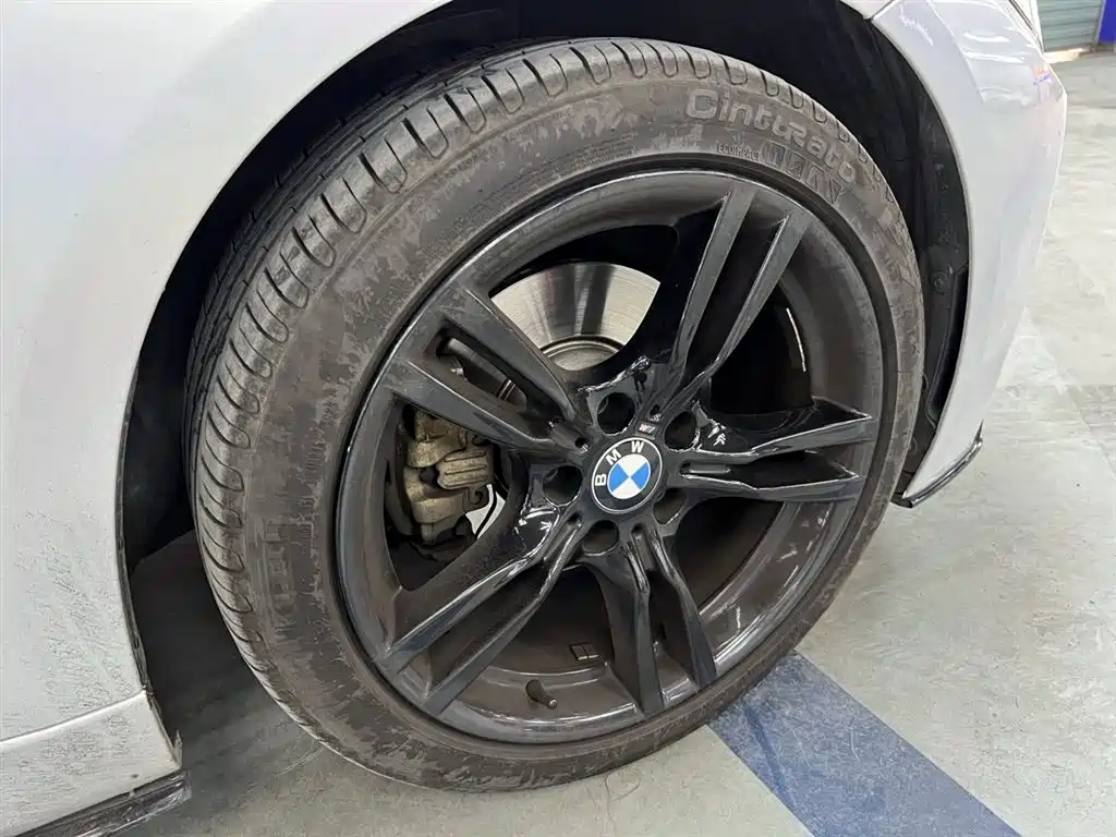 BMW 3 Series 2019 320Li M Sport Black Night Edition фото 13