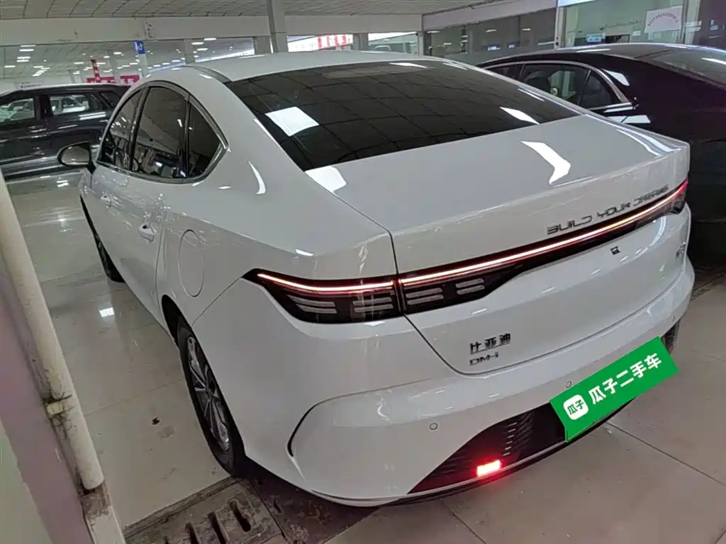BYD Destroyer 05 2024 Glory Edition DM-i 55KM Luxury фото 5