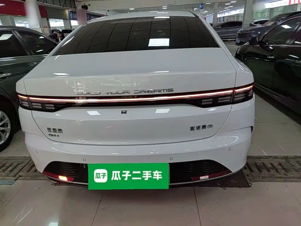 BYD Destroyer 05 2024 Glory Edition DM-i 55KM Luxury фото 6
