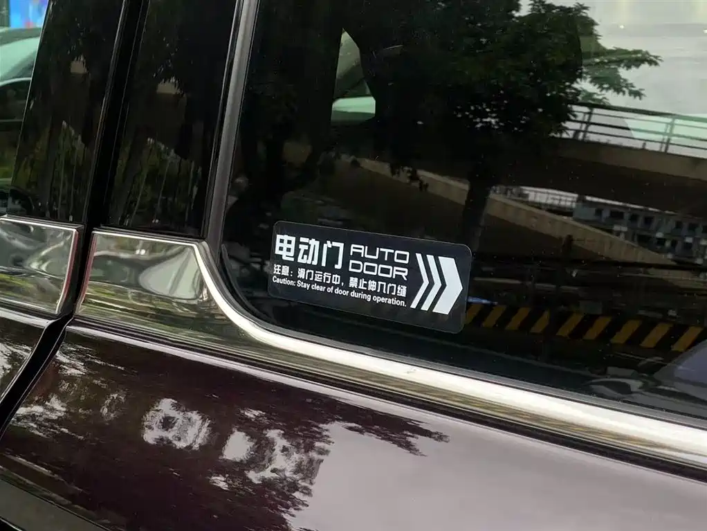Hongqi HQ9 PHEV 2024 Model 2.0T AWD Luxury Edition фото 21