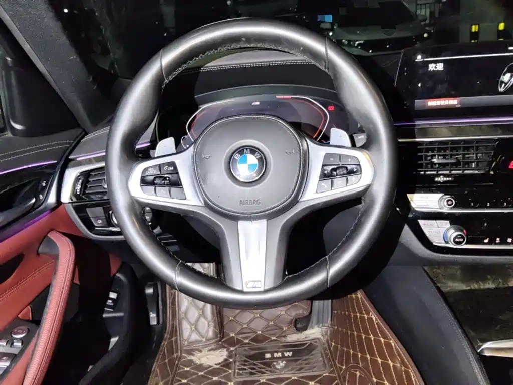BMW 5 Series 2020 530Li Leading M Sport Package фото 3