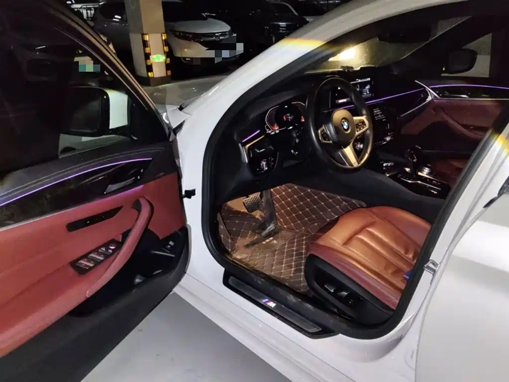 BMW 5 Series 2020 530Li Leading M Sport Package фото 13