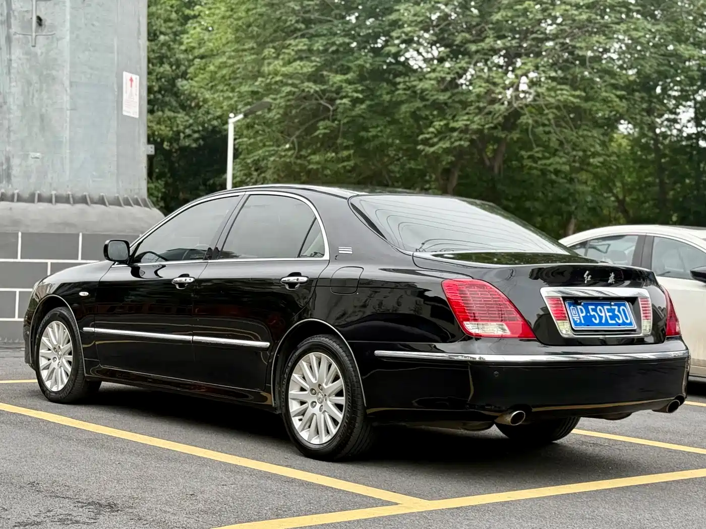 Hongqi Hongqi盛世 2009 3.0L Luxury фото 9