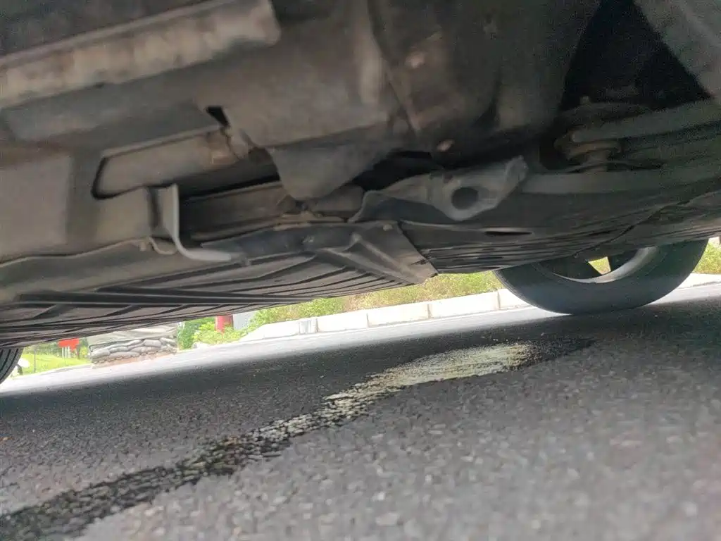BYD Song PLUS PHEV 2021 EV Flagship фото 16