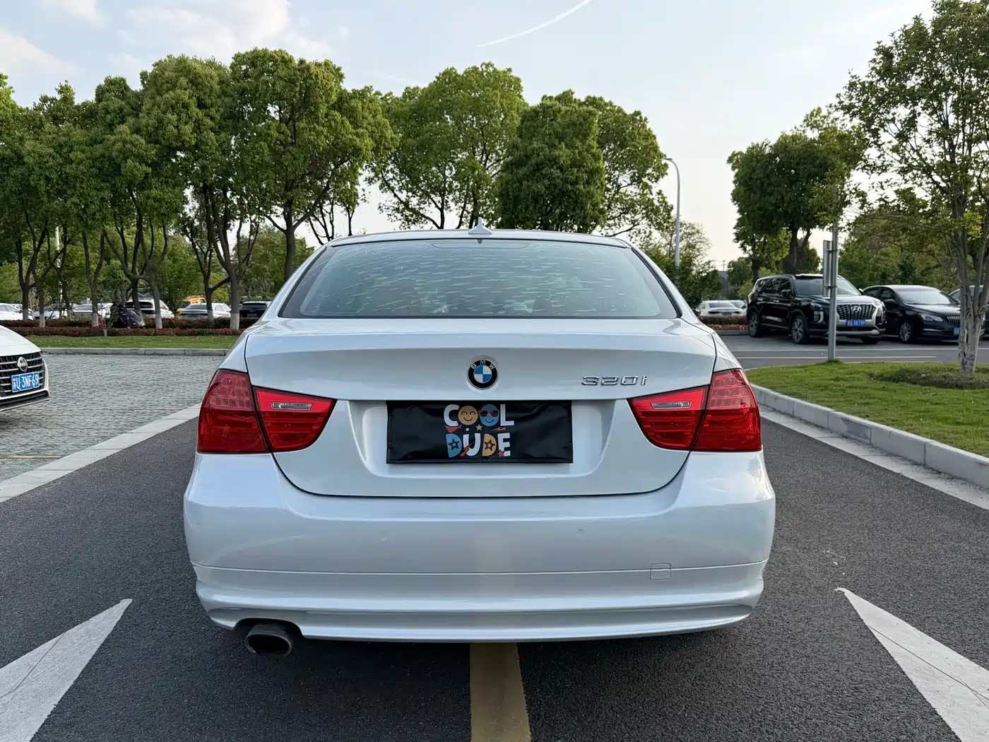 BMW 3 Series (Import) 2010 320i Luxury фото 10