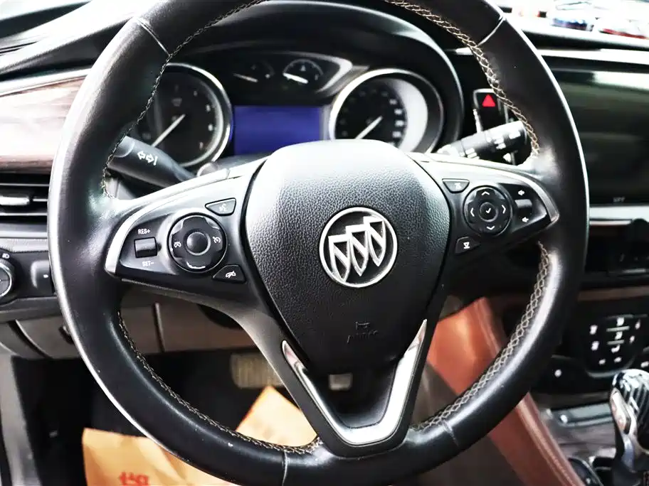 Buick Envision Plus 2017 20T 2WD Luxury фото 11