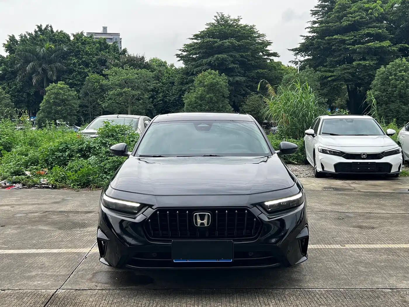 Фото 2 - Honda Inspire